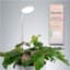 Mossify 28" Adjustable LED Plant Light White — thumbnail 1 of 2