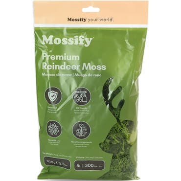 Mossify 100g Reindeer Moss Kiwi — photo 1 of 2