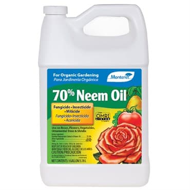 Monterey Gal 70% Neem Oil — photo 1 of 2