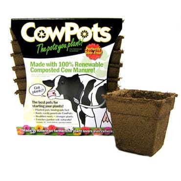 Summit Cow Pot #4 Square 12ct — photo 1 of 2