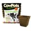 Summit Cow Pot #4 Square 12ct — thumbnail 1 of 2