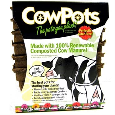 Summit Cow Pot #3 Square 12ct — photo 1 of 2