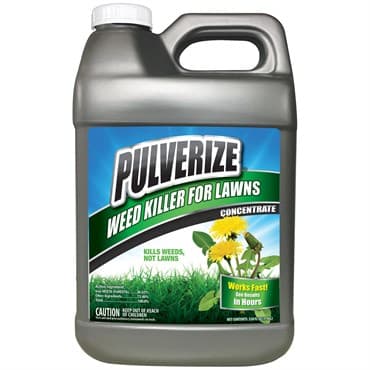 Pulverize 2.5gal Weed Killer Lawn Killer Liquid Concentrate — photo 1 of 2