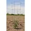 Midwest Wire Works 54" Heavy Duty Cage 4 Ring 4 Leg — thumbnail 1 of 2
