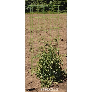 Midwest Wire Works 58" Heavy Duty Square Cage Lime — photo 1 of 2