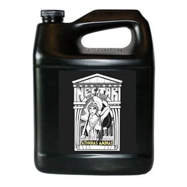 Nectar for the Gods Gallon Athenas Aminas — photo 1 of 2