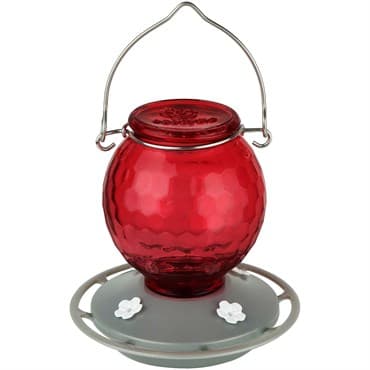 Natures Way 16oz EcoCycle Crimson Comb Recycled Gl — photo 1 of 2