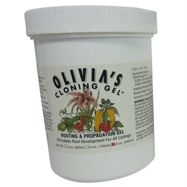 Olivia's 8oz Cloning Gel 240ml — photo 1 of 2