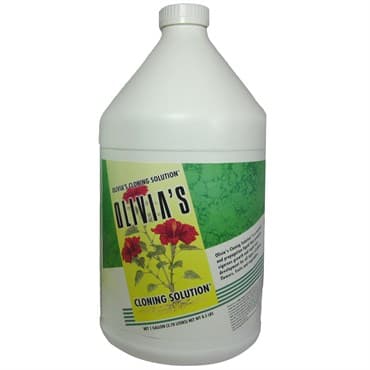 Olivia's 1gal Cloning Solution — photo 1 of 2