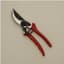 Organic 8.5" Garlic Shear With Bypass Pruner — thumbnail 1 of 2