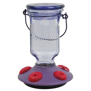 Perky Pet 16oz Glass Top Fill Hummingbird Feeder Lavender Field — photo 1 of 2