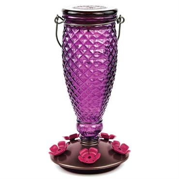 Perky Pet 24oz Glass Top Fill Hummingbird Feeder Diamond Wine — photo 1 of 2