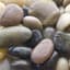 Panacea 5# Country River Rocks — thumbnail 1 of 2