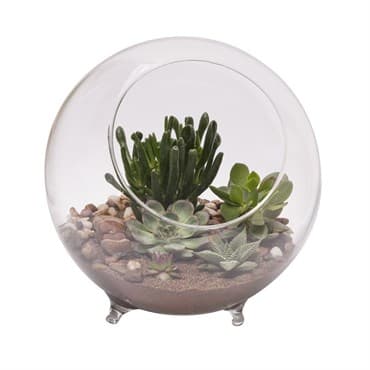 Panacea 10"D Large Glass Terrarium Sphere With Feet — photo 1 of 2