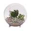 Panacea 10"D Large Glass Terrarium Sphere With Feet — thumbnail 1 of 2