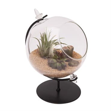 Panacea 4"D Desktop Glass Terrarium Planter With Metal Stand — photo 1 of 2