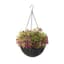 Panacea 14" Resin Woven Hanging Basket Black — thumbnail 1 of 2