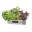 Panacea 16" Milkhouse Herbs Short Oval Planter — thumbnail 1 of 2