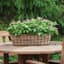 Panacea 24" Rustic Woven Window Box Burlap Liner — thumbnail 1 of 2