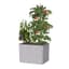 Panacea 22x22x18"H Raised Galvanized Planter — thumbnail 1 of 2