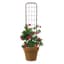 Panacea 48" Rustic Woven Pot Trellis Rust — thumbnail 1 of 2