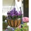 Panacea 14" English Hanging Basket W/ Coco Liner — thumbnail 1 of 2