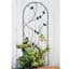 Panacea 72" Perched Bird Trellis Black — thumbnail 1 of 2