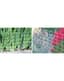 Panacea 14x25 Flat Top Fence Green — thumbnail 1 of 2