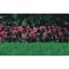 Panacea 10"x10' White Arch Folding Fence — thumbnail 1 of 2