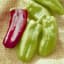 Peppers, Giant Marconi Treated 100 Seed Count — thumbnail 1 of 2