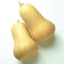 Squash, Early Butternut Hybrid 100 Seed Count — thumbnail 1 of 2