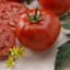Tomato, Better Boy Treated 100 Seed Count — thumbnail 1 of 2