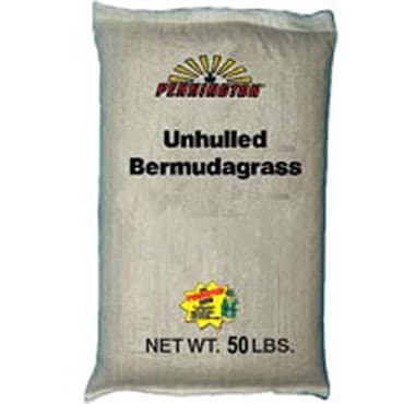 Penn 50# Bermuda Unhulled — photo 1 of 2