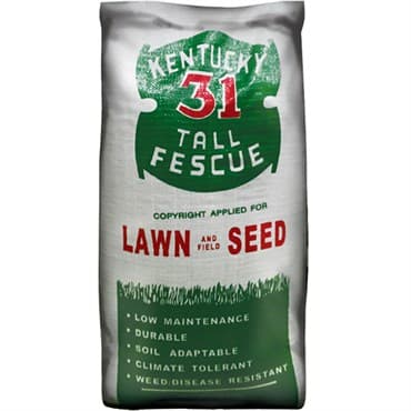 Penn 50# Kentucky 31 Tall Fescue 95/85 — photo 1 of 2