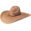 Goldcoast Jones Natural Hat — thumbnail 1 of 2