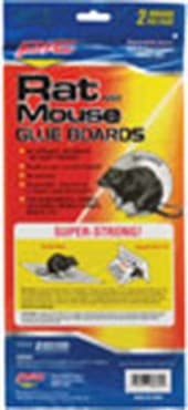 Pic 2pk Rat Glue Boards — photo 1 of 2