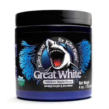 Great White 4oz — photo 1 of 2