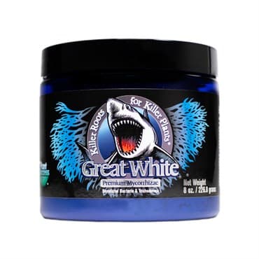 Great White 8oz — photo 1 of 2