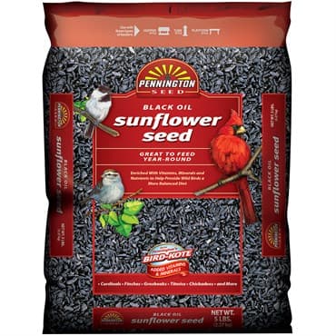 Penn Select 5# Black Oil Sunflower Seed — photo 1 of 2