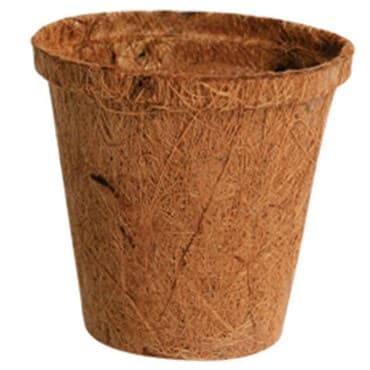 PlantBest 3.00" Biodegradable Coir Pot 1540/Bulk Case — photo 1 of 2