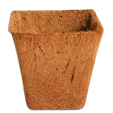 PlantBest 3.00" Sq Biodegradable Coir Pot 800/Bulk Case — photo 1 of 2
