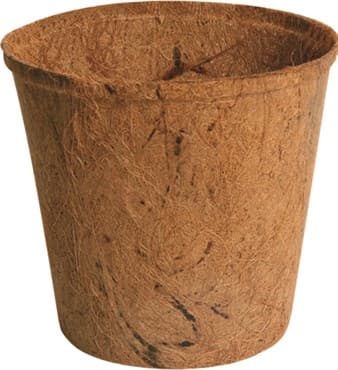 PlantBest 1 Gallon Round Coir Pot — photo 1 of 2