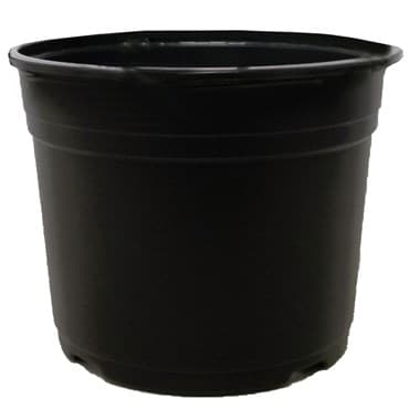 POPPELMANN VCD 16.5 AZALEA POT BLACK, 530 PER CASE, 16 CASES PER PALLET, 6-1/2" X 5", 2.04 qt (1.93 l) — photo 1 of 2