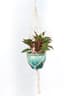 Primitive 42" Cotton Woven Hanger Plain Cord — thumbnail 1 of 2