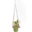 Primitive 10" Square Cutout Hanging Table — thumbnail 1 of 2