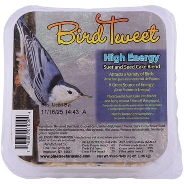 Pine Tree 9.5oz Bird Tweet High Energy Suet — photo 1 of 2