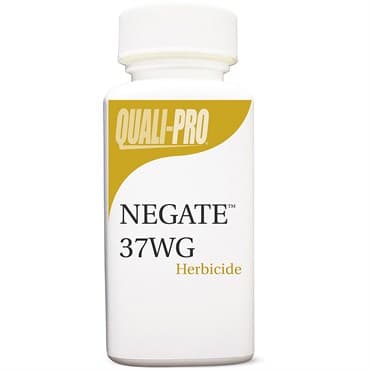 QP Negate 37WG 1.5oz (F) (6/CS) ( Rimsulfuron, Metsulfuron methyl ) — photo 1 of 2