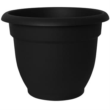 Bloem 10" Ariana with Grid Planter Black* — photo 1 of 2