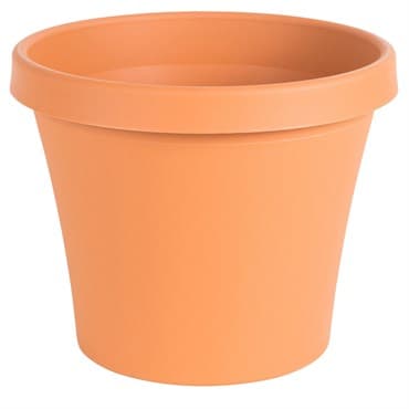 Bloem 6" TerraPot Terra Cotta — photo 1 of 2
