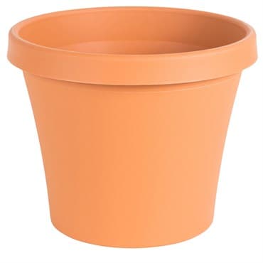 Bloem 8" TerraPot Terra Cotta — photo 1 of 2